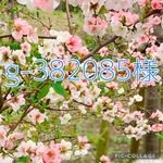g-382085さまオーダーあごのせ