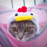 再6販☆送料込☆干支帽子☆猫帽子☆犬帽子☆