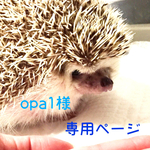 opa1様専用ページ