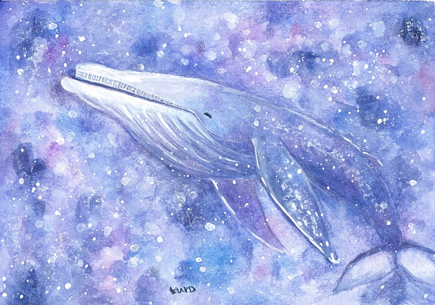 アラスカ クジラ 親子 水彩画☆ メアリー・クロクストン ☆大判
