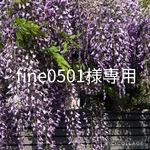 fine9591様専用