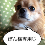ぽん様専用ページ♡
