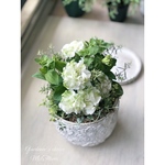𓂃𓈒𓏸 White & Green 𓂃𓈒𓏸湘南マルモ・ヴェルデの寄せ植え