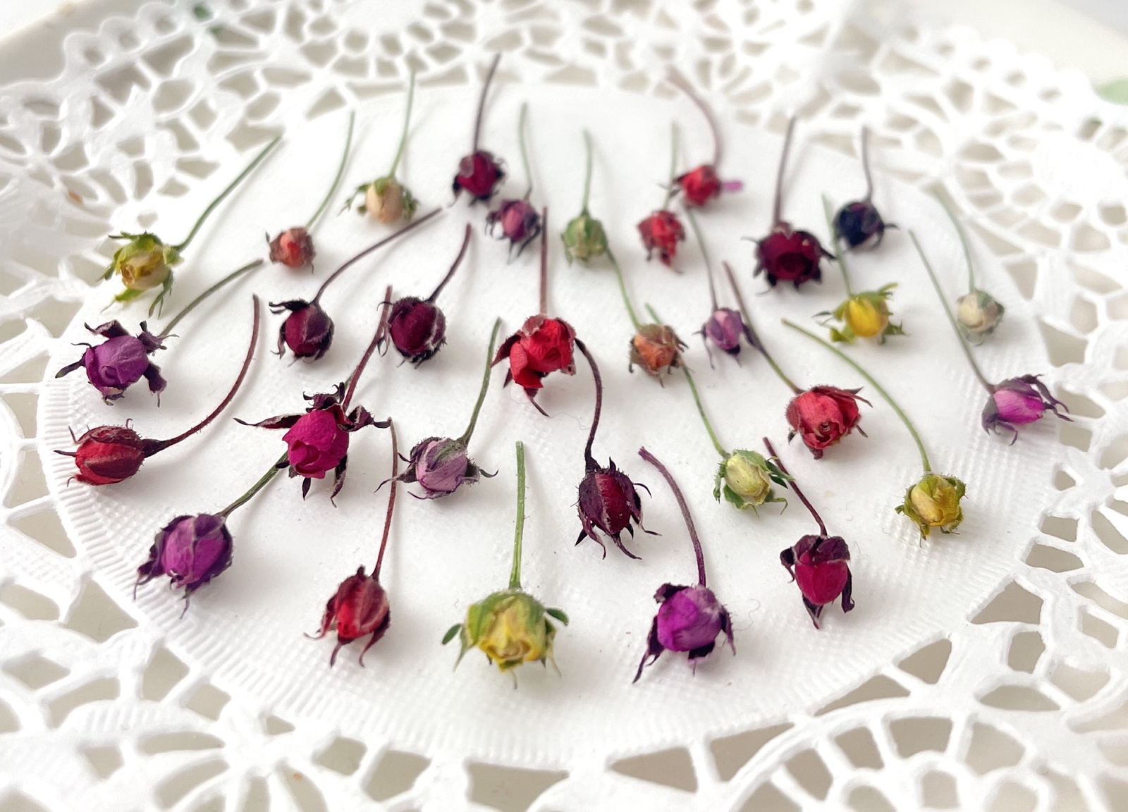 ドライフラワー 花材 素材 リトルウッズ 蕾染め ヘッド ケース入り