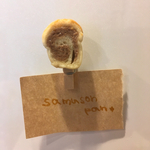 パンクリップマグネット 渦巻きトースト