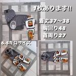 イタグレの服　イタグレ服