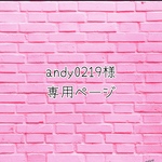 専用ページです