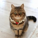 いちご🍓の花びらチョーカー