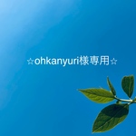 ☆ohkanyuri様専用☆【紡】＆【爛漫】水引のピアス／イヤリング