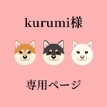 kurumi322様専用ページ