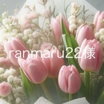 ranmaru 22様専用