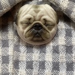 豆パグブローチ・フォーン～Ｃ