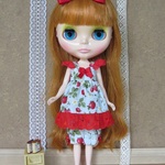 22ｃｍ( ブライス サイズ)ドール服セット