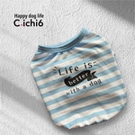 【受注製作】ボーダープリントTシャツ