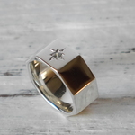 Nut simple ring(sv)
