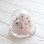 ❤母の日フラワー/ドライフラワー/桜のドームボトル　本物のサクラのドライフラワーアレンジ　　母の日　誕生日　仏花　お祝い