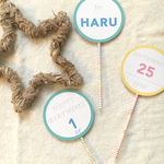 ☆kids & baby BIRTHDAYフォトプロップス☆