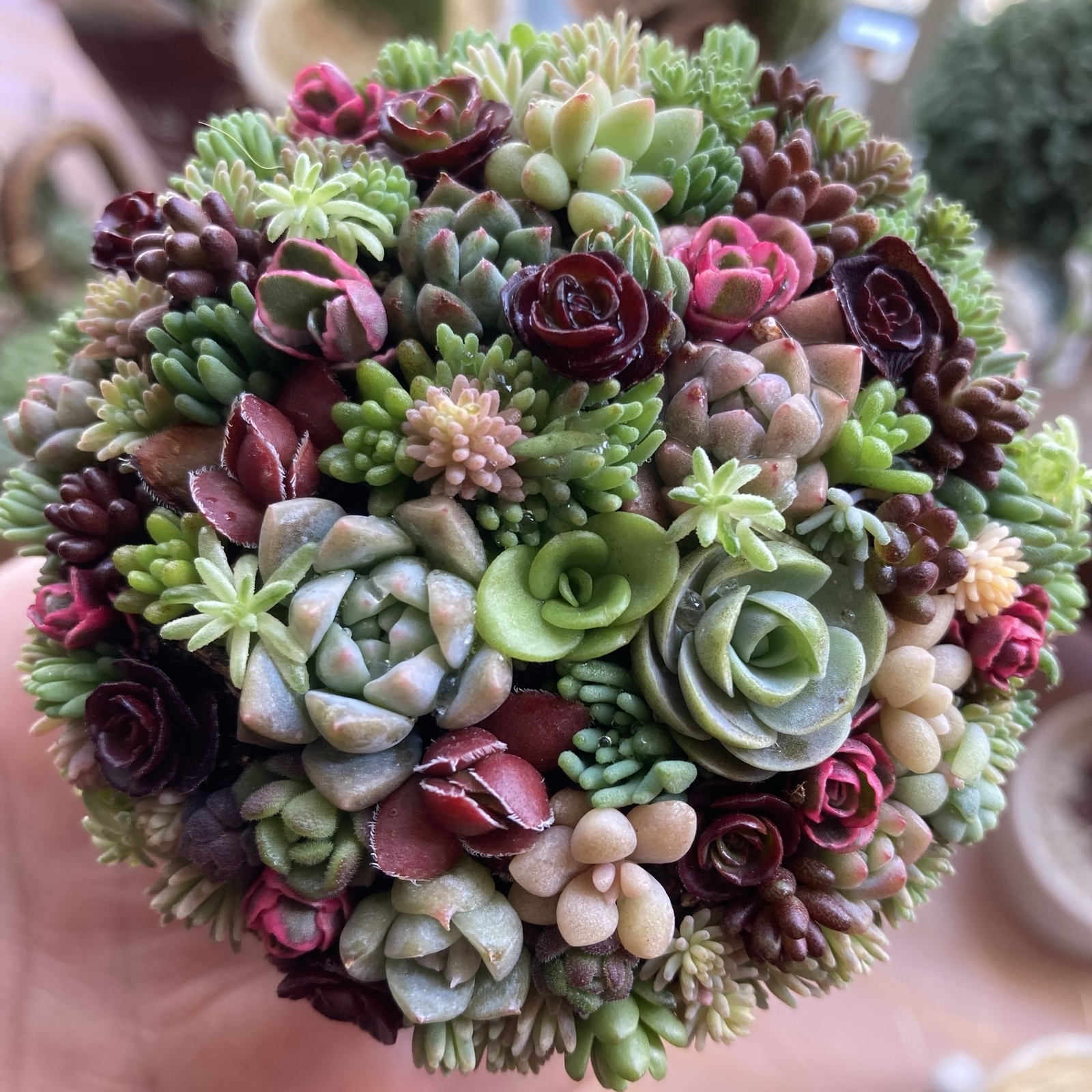 ❤️専用❤️多肉植物❤️そのまま飾れる寄せ植え❤️２点セット❤️ bd1b419b16f7b6c8c6ebd988eadf15