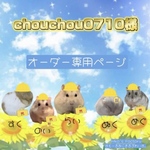 chouchou0710様専用オーダーページ グラスハーモニー450正面カジり防止ロフト