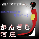 【sonimoguri様専用ページ】かんざし「三味線」オリジナル