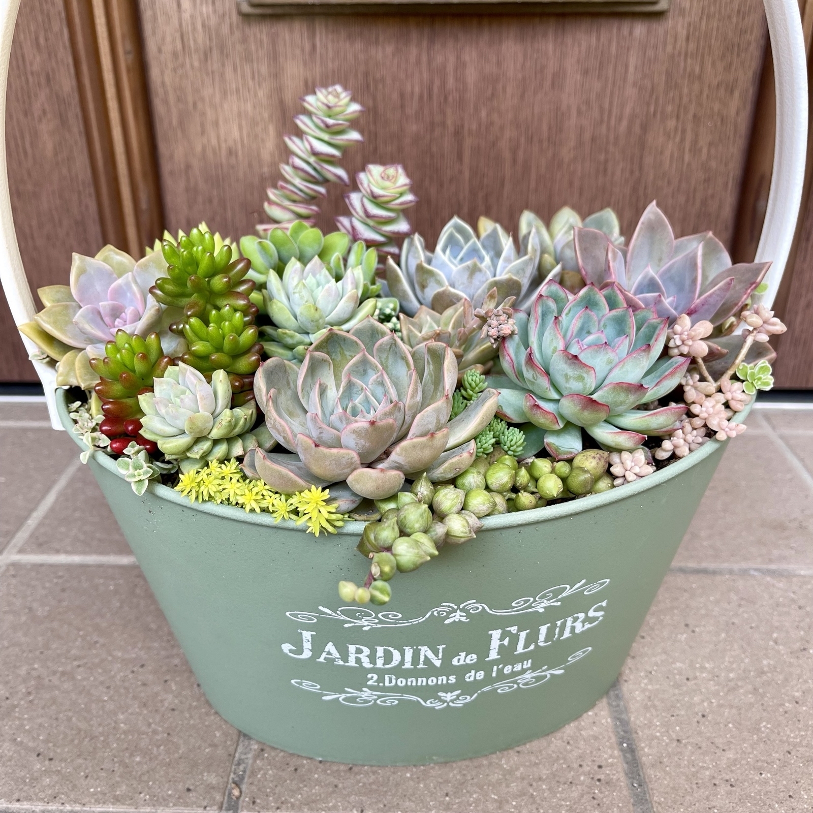 ☆多肉植物　寄せ植え〜フック付きブリキ缶寄せ植え　セット〜★ ☆多肉植物 寄せ植え〜フック付きブリキ缶寄せ植え セット〜☆ 観葉