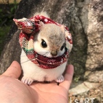 ぬくぬくモモンガ❤️
