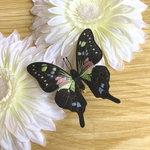 ミイロタイマイの立体刺繍ブローチ