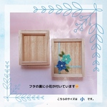 桐の花箱　長方形水色リボン　小サイズ