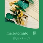 mictotomato様専用 シマリスのクラウンチャーム🐿️