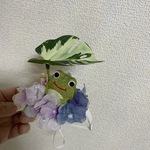rev0617様カエルさんの雨宿り🐸カチューシャ(ワイヤー入りタイプ)