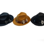 ペット用ハット