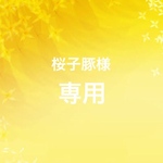 ☆桜子豚様専用☆