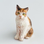 三毛猫
