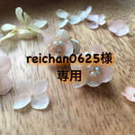 reichan0625様専用
