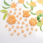 オリジナル新色★8mm キンモクセイ　お花のパーツ　アプリコットオレンジ
