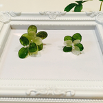 紫陽花のピアス  【グリーングラデーション】