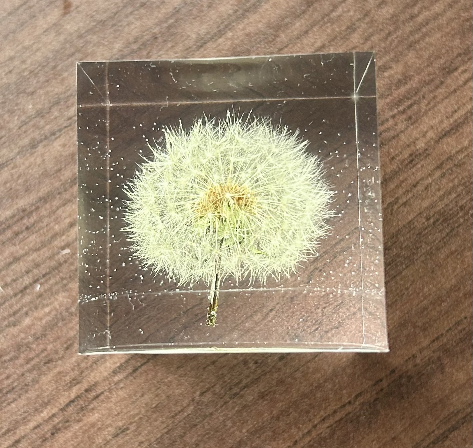 たんぽぽの綿毛 ペーパーウェイト キューブ② - mikan | minne byGMO 