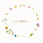 たまご様専用✨