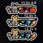 専用ページ