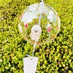 🉐風鈴🎐360度ビションフリーゼちゃんと小花柄A