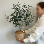 【室内用オリーブの木】光触媒 フェイクグリーン 無料ラッピング 観葉植物 造花 