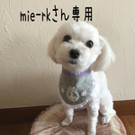 犬用スタイ・お名前スタイ