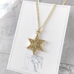 598【1個限定販売】六芒星【ネックレス】
