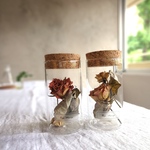 植物標本　Botaical Collection■Lサイズボトル■No.L-7 バラ　ミックス オレンジ　マリヨ