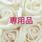専用品 オルゴナイト