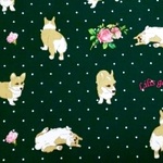 mojyaasai517様オーダーページ　ワンちゃんティッシュケース＊やんちゃなコーギー＊
