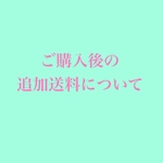 ご購入後の追加送料について