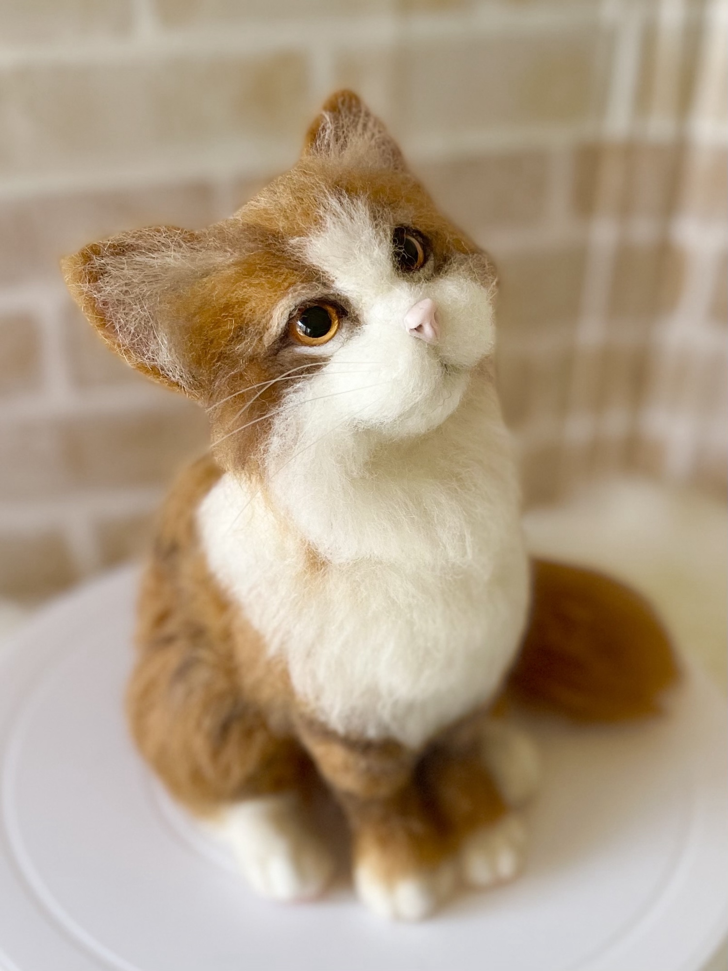 羊毛フェルト マルチーズ momoichigo （マンチカン 羊毛フェルト