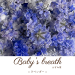 かすみ草 ︎✿ ドライフラワー « ラベンダー »