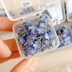 新登場！勿忘草のドライフラワーセット